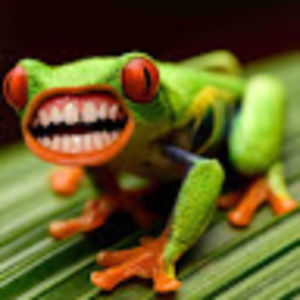 Meet your Posher, Taylor